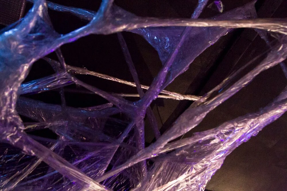   The Cocoon -  Photo: Teresa Noble 