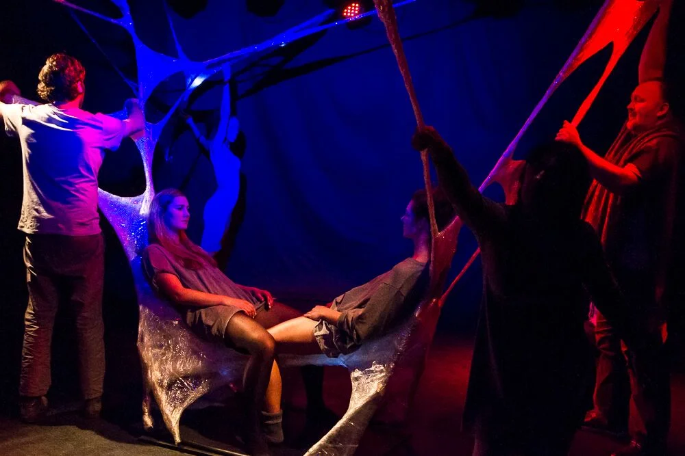   The Cocoon -  Photo: Teresa Noble 