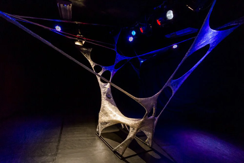   The Cocoon -  Photo: Teresa Noble 