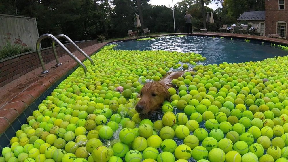 Kyle swimming in Tennis Balls.jpg