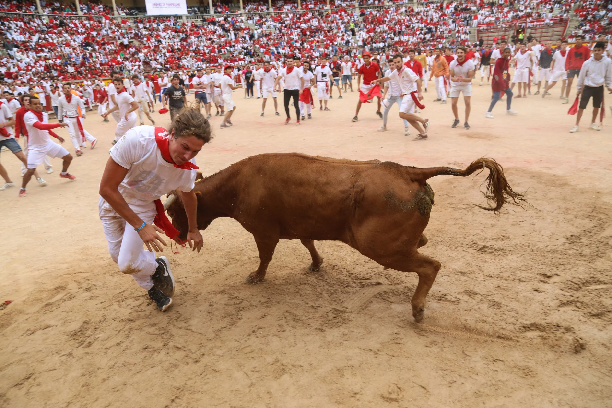 A mozo is caught by a calf while trying to run around it. July 14th, 2017.