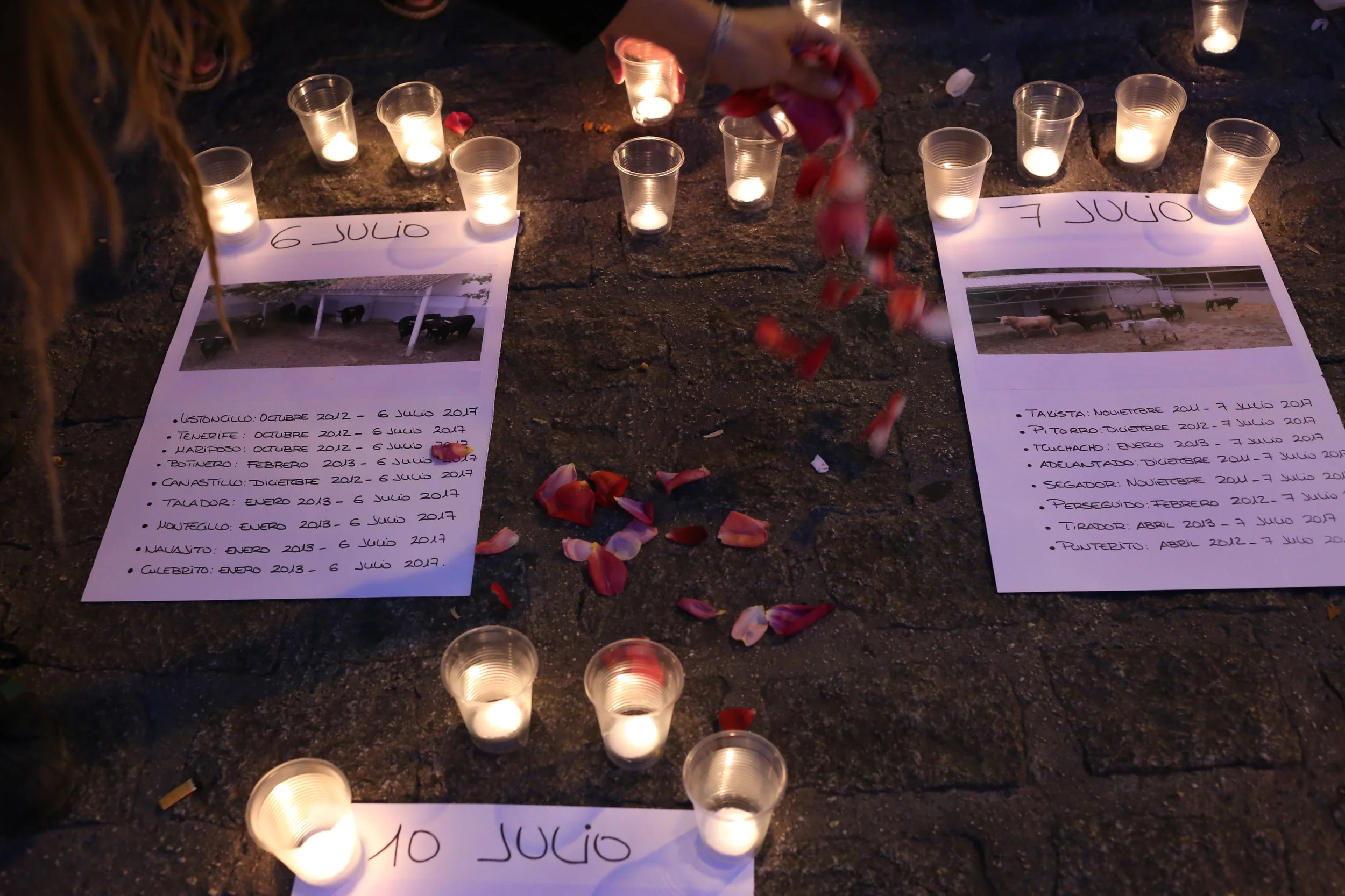 An anti-bullfighting group holds a vigil with the different names of bulls that were killed during the San Fermin festival on the last day of the event. -July 14th, 2017.