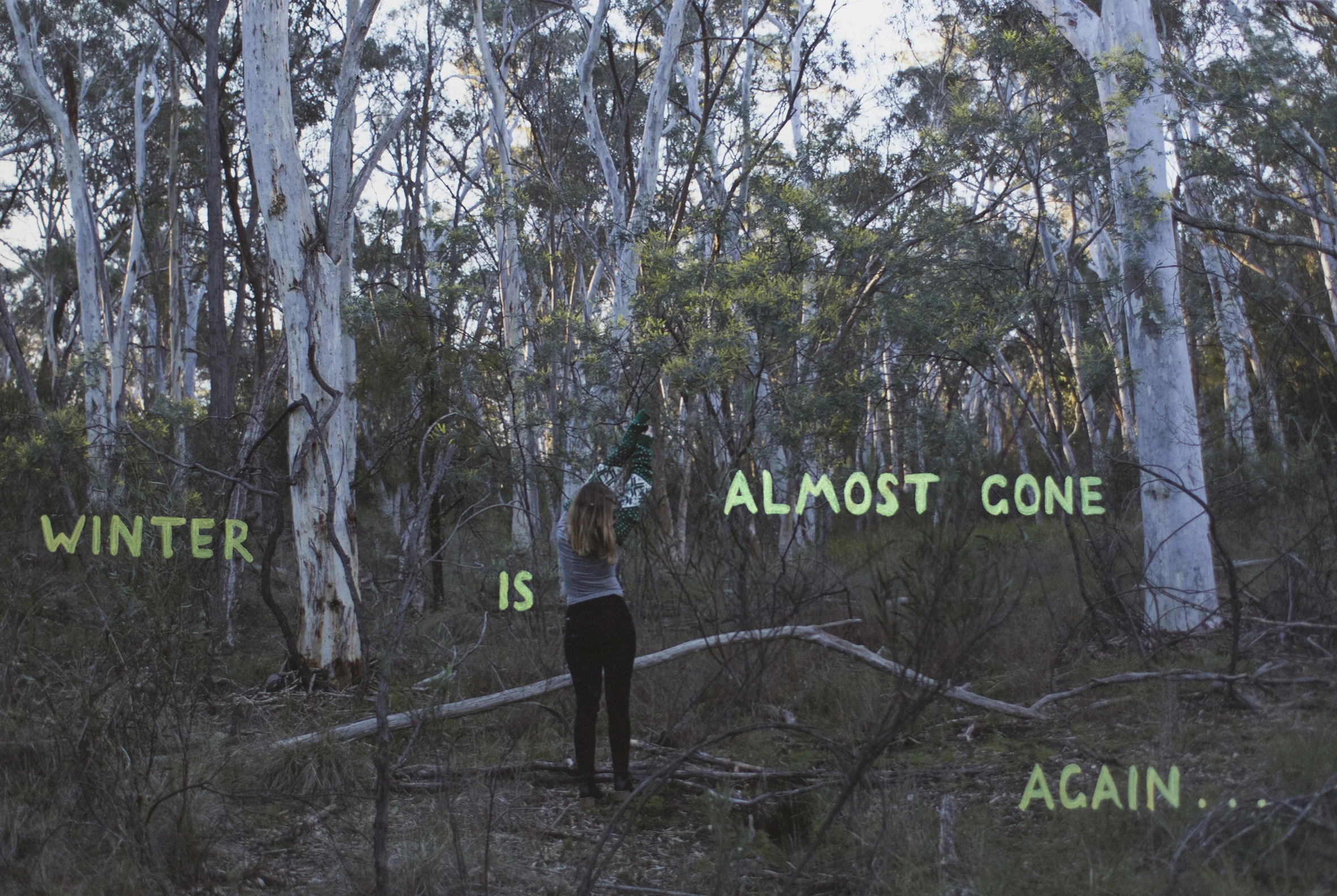 web A thought that occurred to me in the landscape.jpg