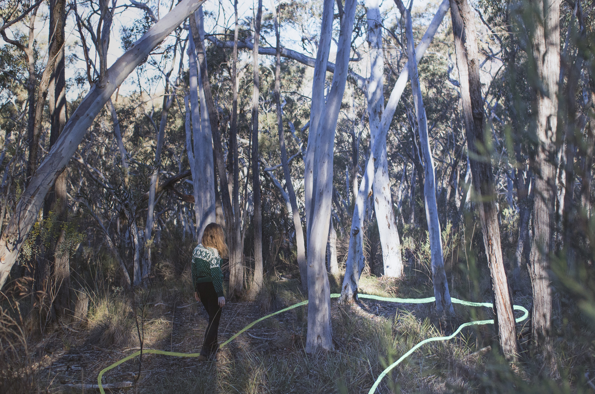 The way that I walked through the landscape web.jpg
