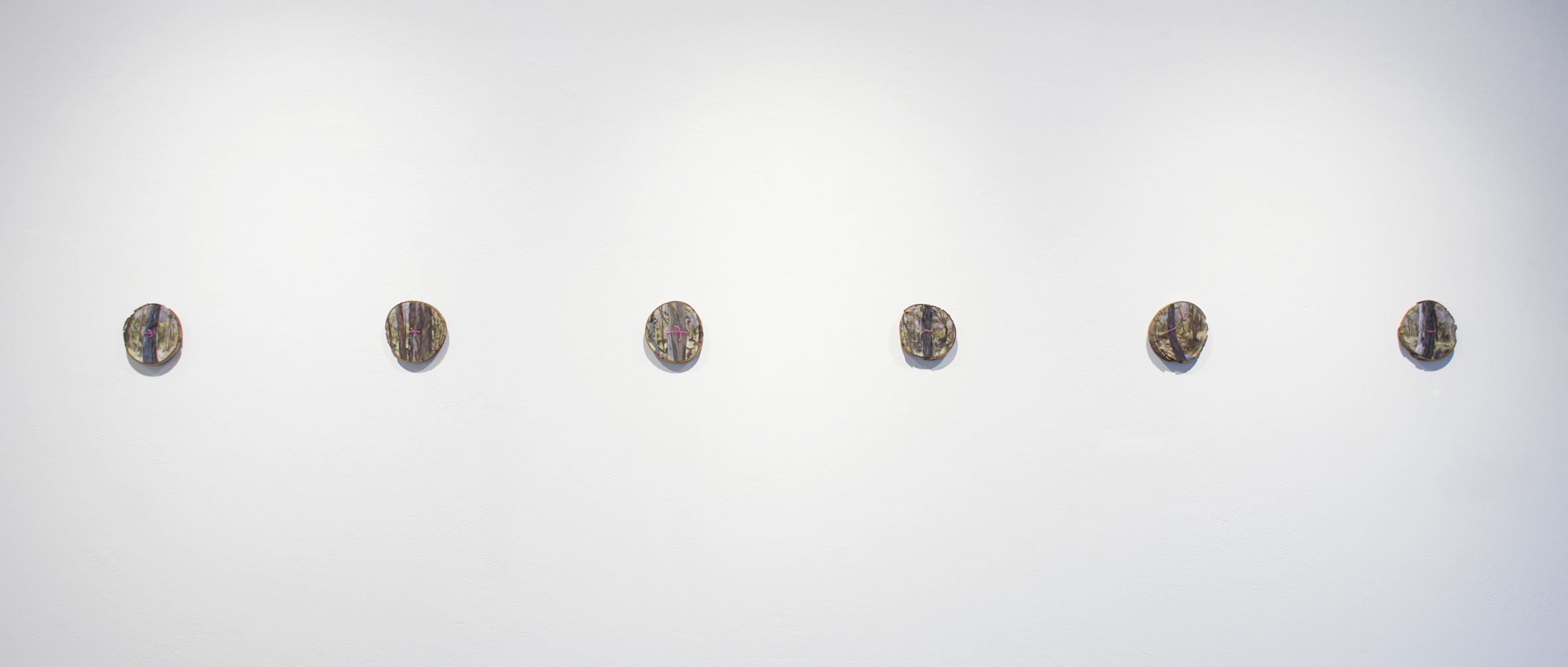 Web_Wayfinding Aranda Bushland_install 1-6_2018_acrylic on yellowbox.jpg