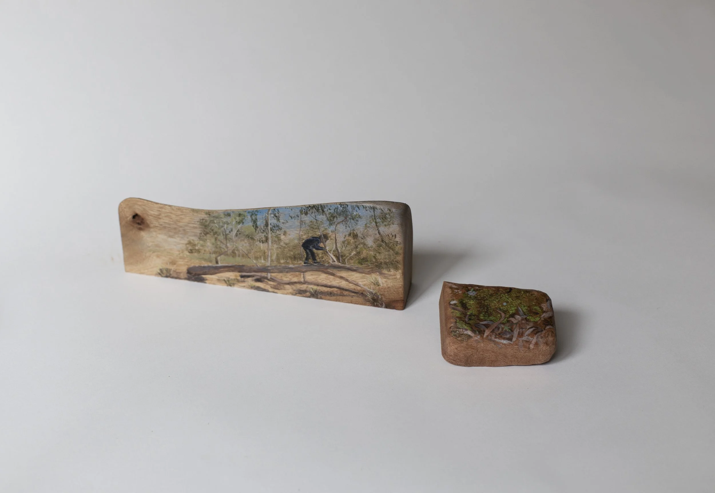 Annika Harding_Advantages of being small_2026_Acrylic on timber copy.jpg
