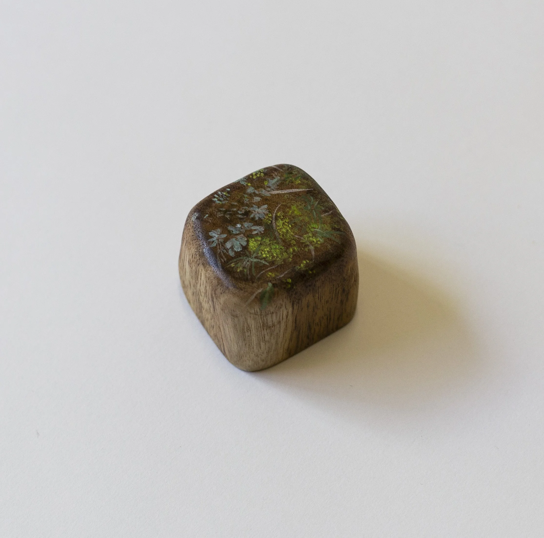 Close looking_Aranda Bushland.jpg