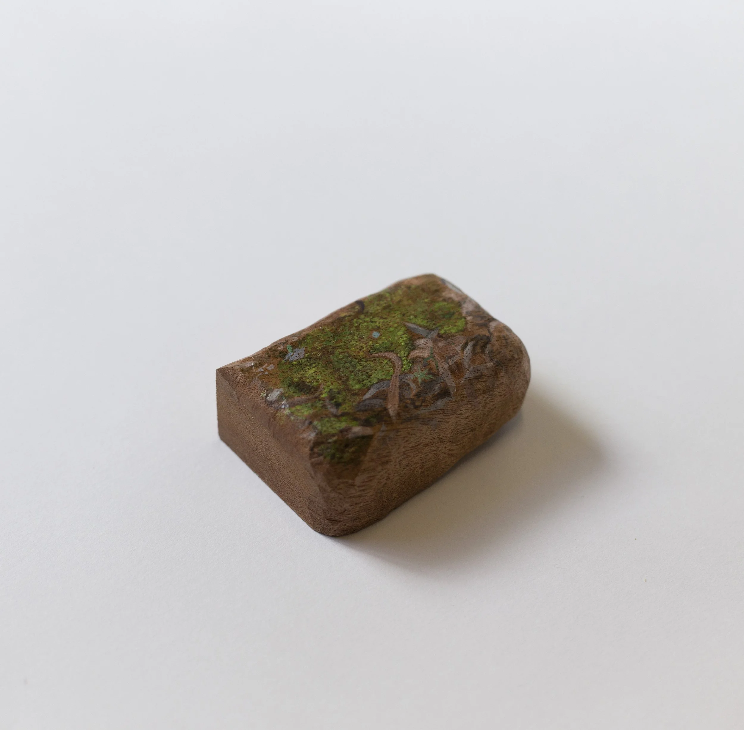 Close looking_Black Mountain.jpg