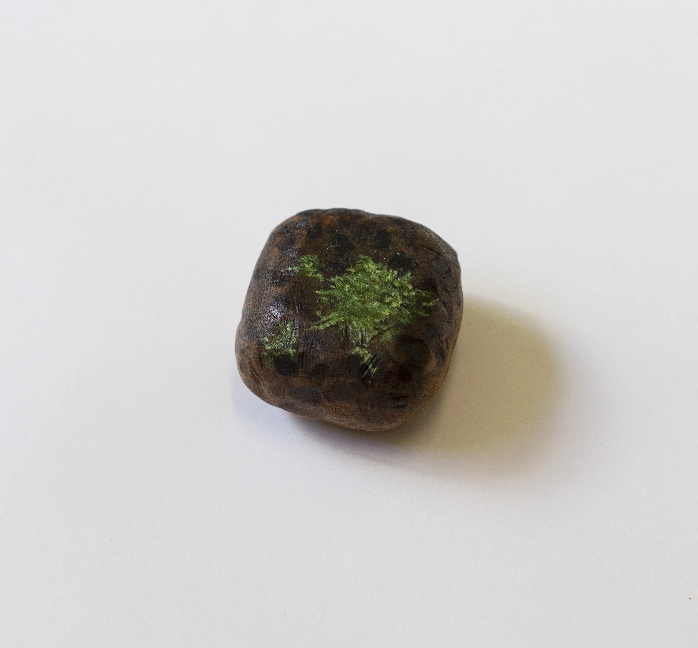 Close looking_Mossy rock Topaz.jpg