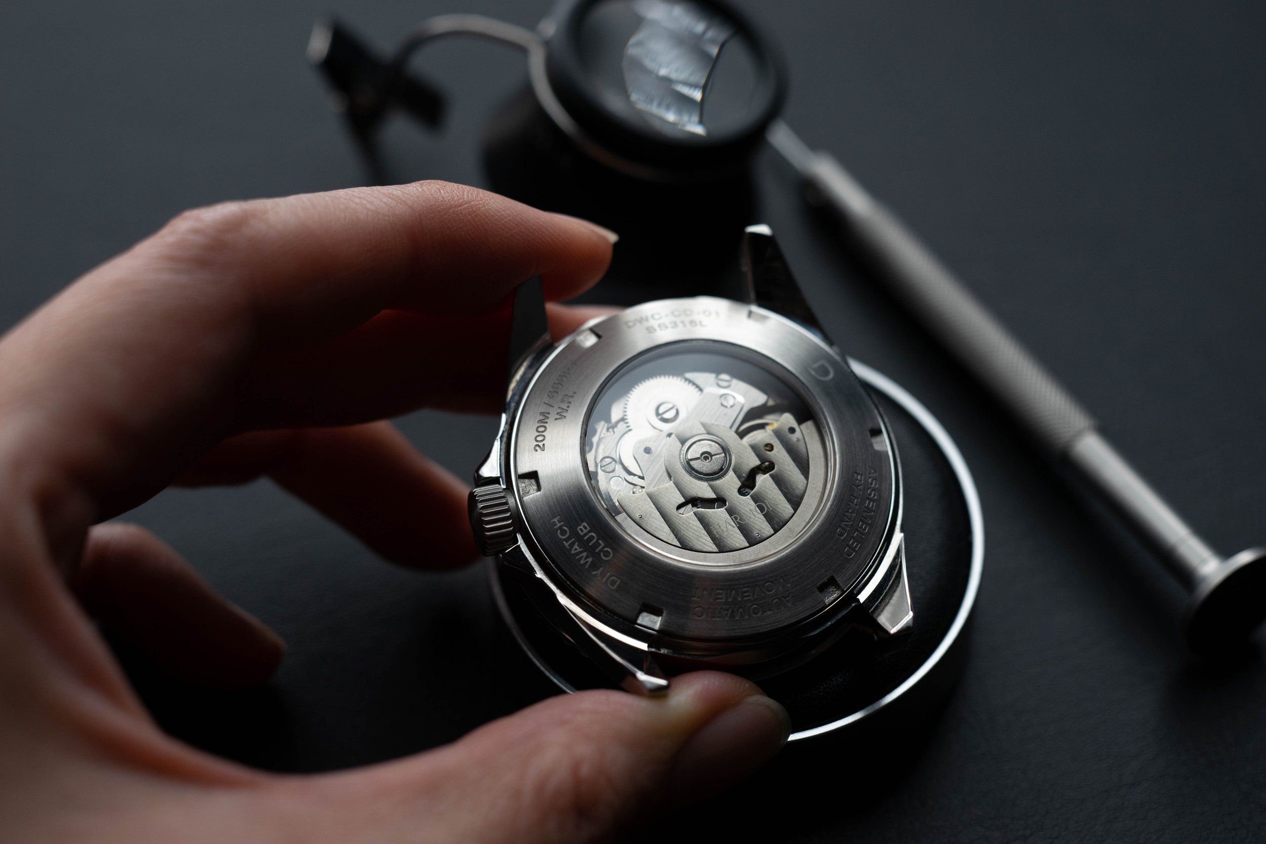 Custom Rotor (Seiko series)