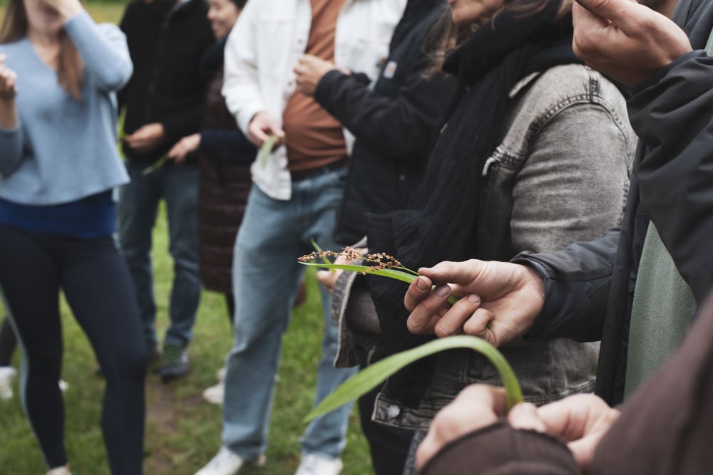 Gruppe von Menschen im Freien bei einer Veranstaltung, einige halten Grünzeug in den Händen, vermutlich im Rahmen eines Workshops oder einer Demonstration.