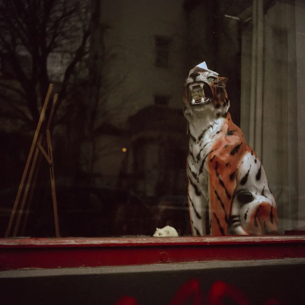 Portraits_Berlin_Lilli_Breininger0023.webp