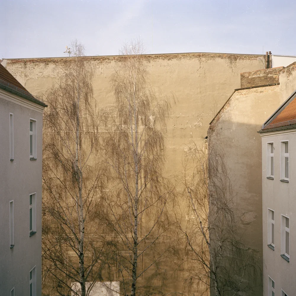Portraits_Berlin_Lilli_Breininger0006.webp