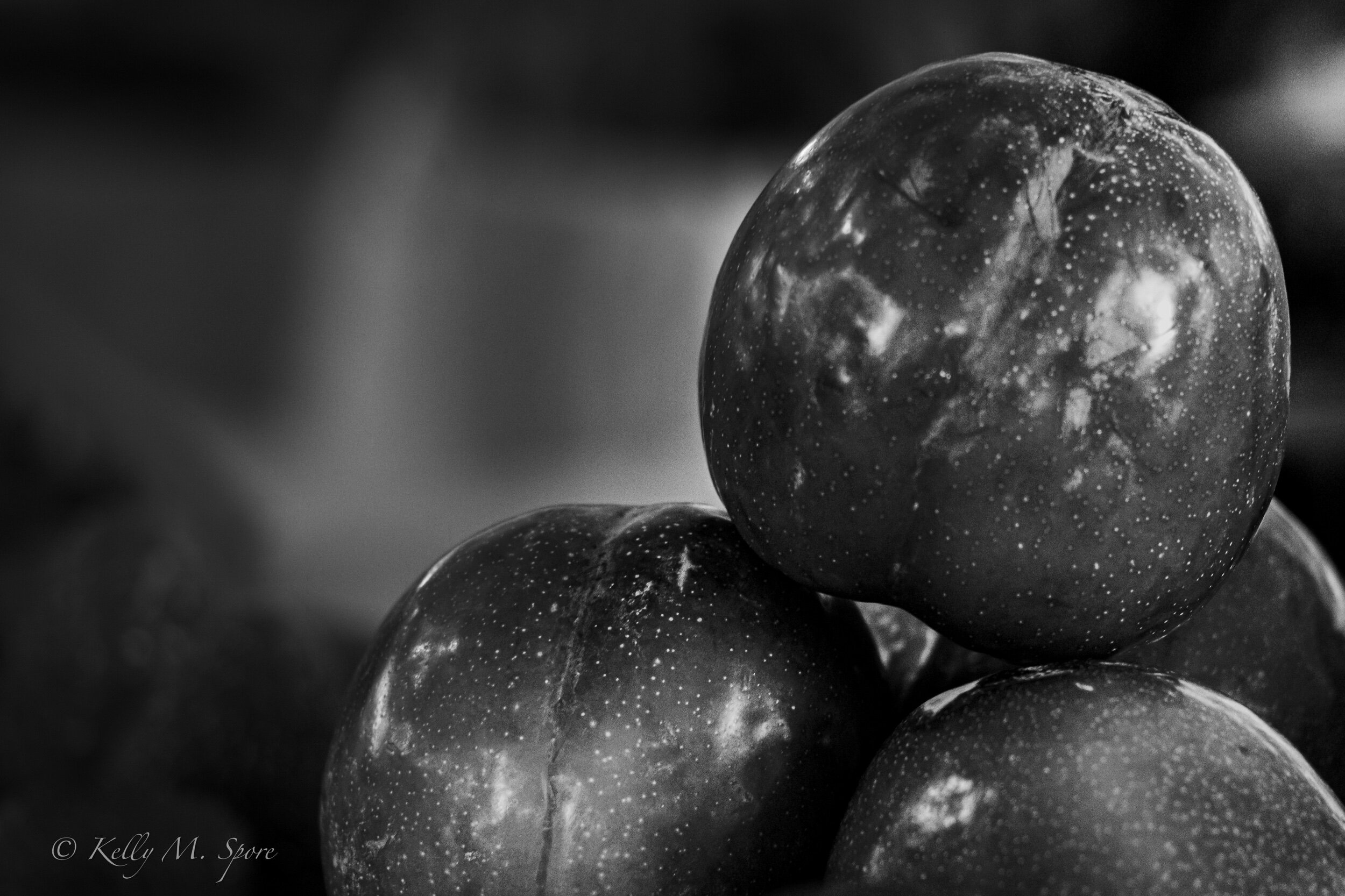 PhotoMoment: Fruit of the Day