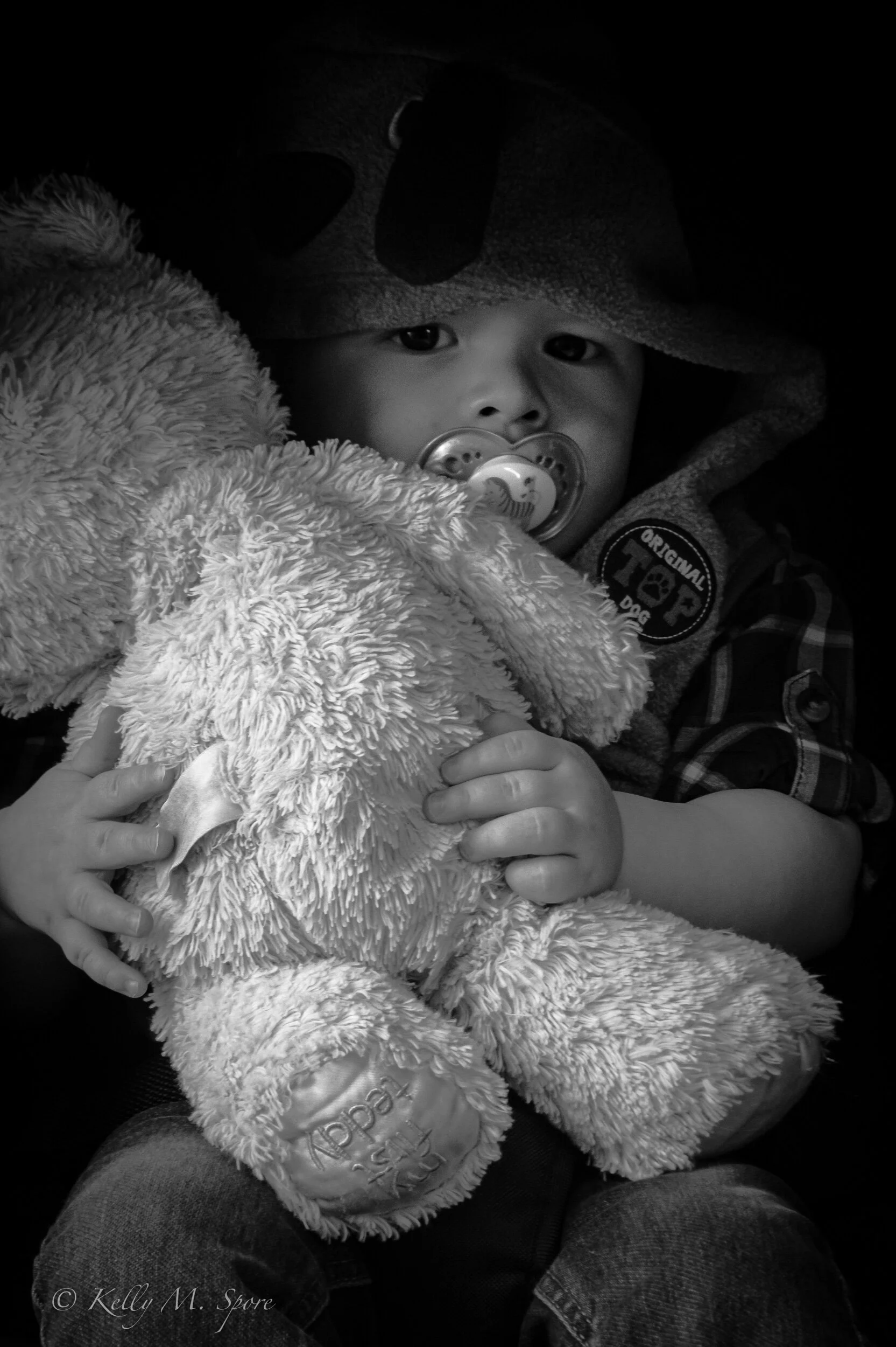 PhotoMoment: A Kid and His Bear
