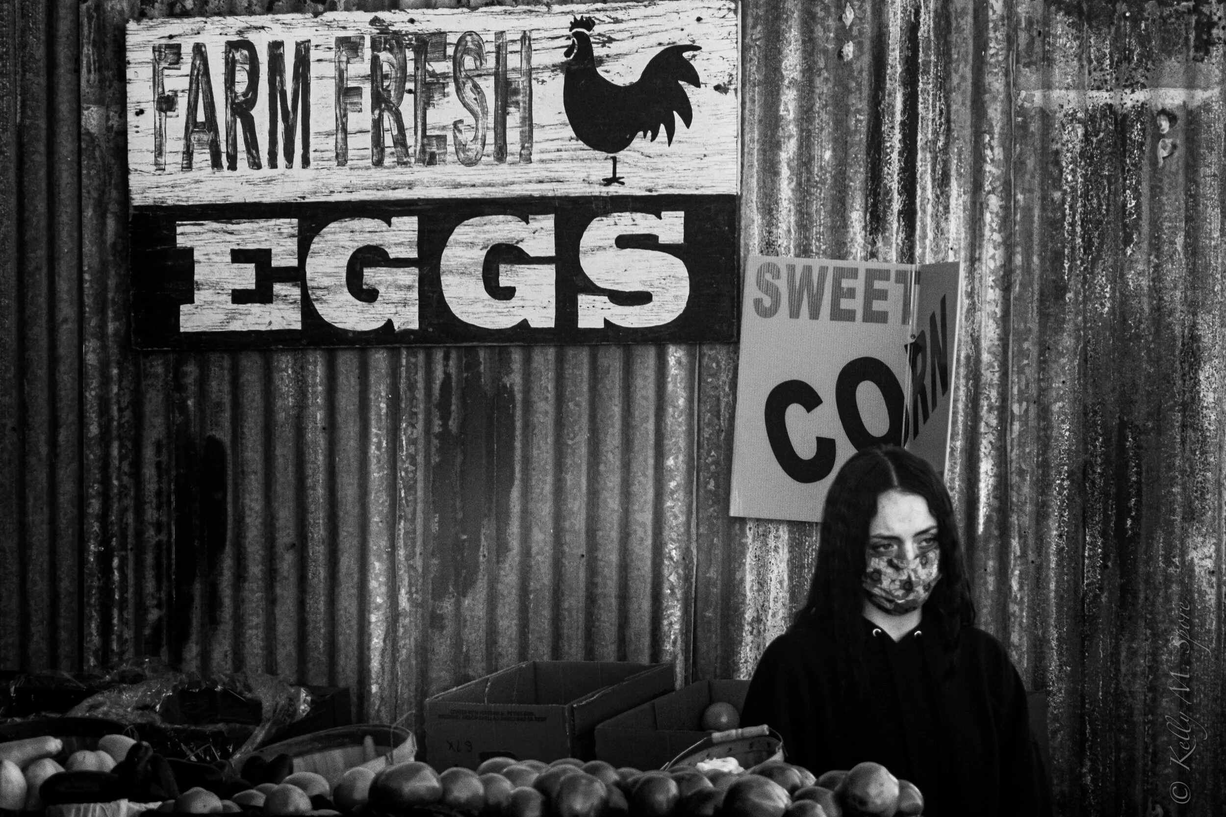 PhotoMoment: Farm Fresh Eggs