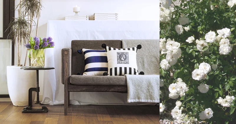 cushion_detail_02.jpg