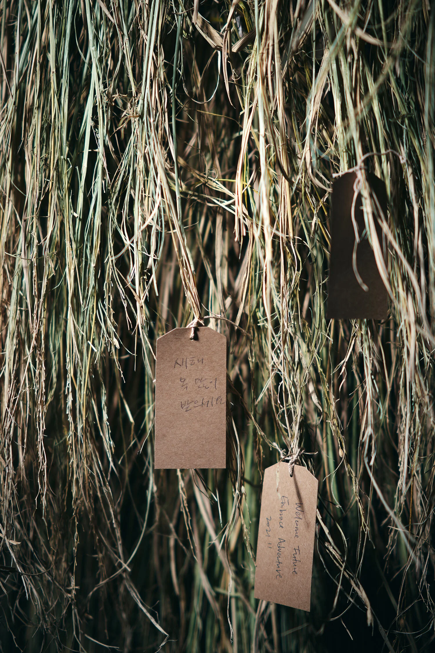 1130_국립현대미술관(by TEOYANG studio)_13_h res.jpg