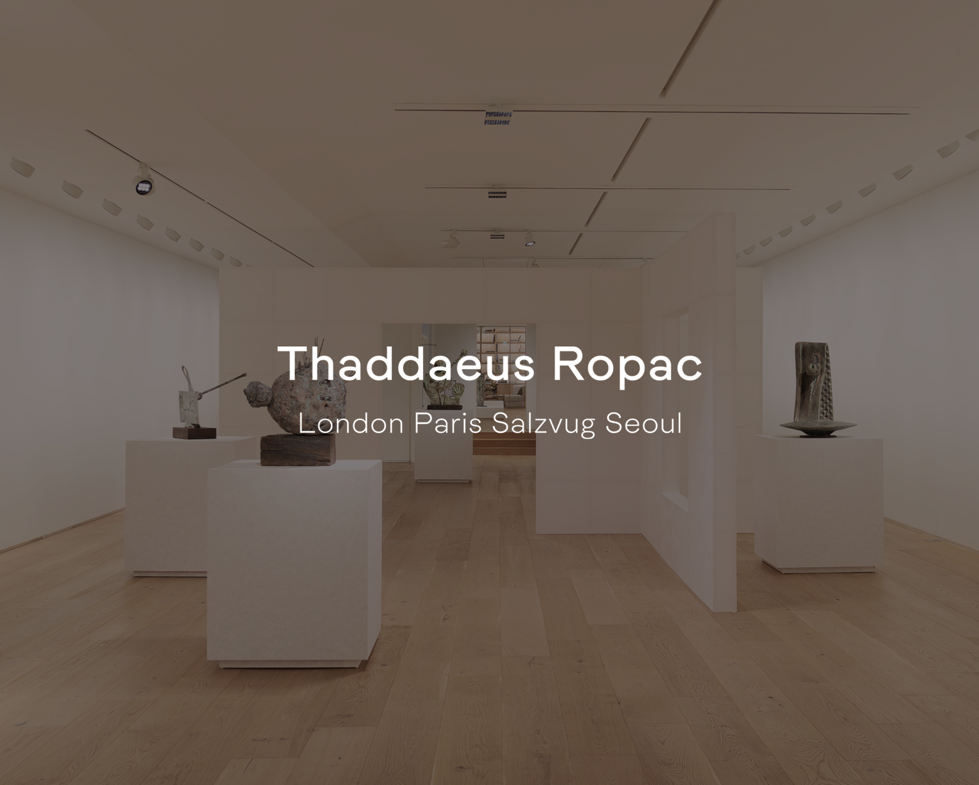 로팍 호안미로.png