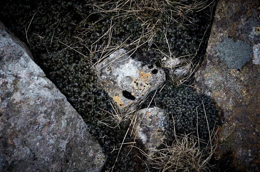 Justin Orwin Secret.jpg