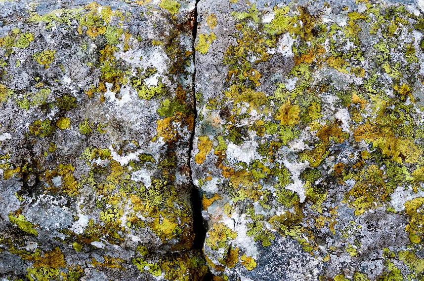 Justin Orwin Split.jpg