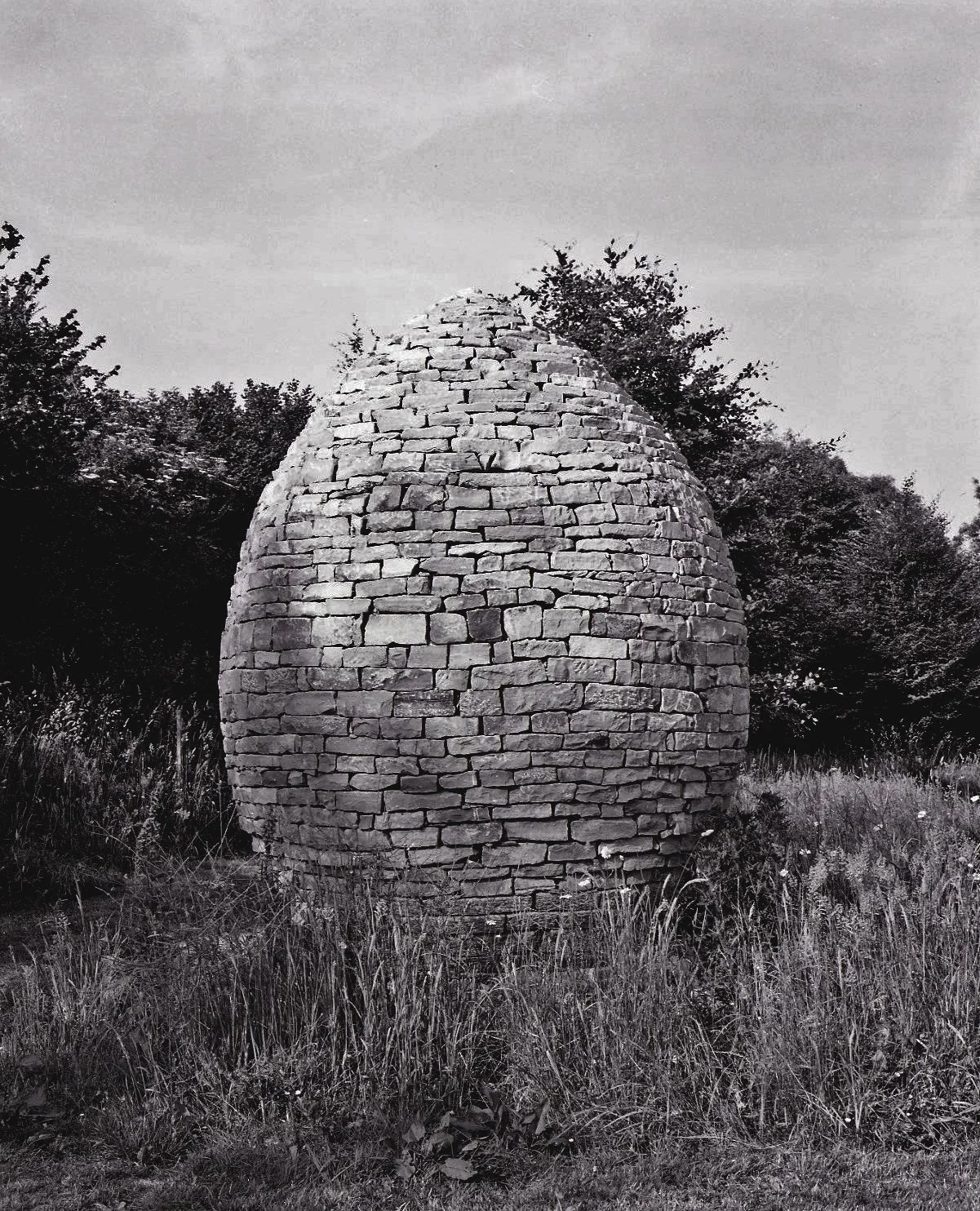 Tom Egg Scans001.jpg