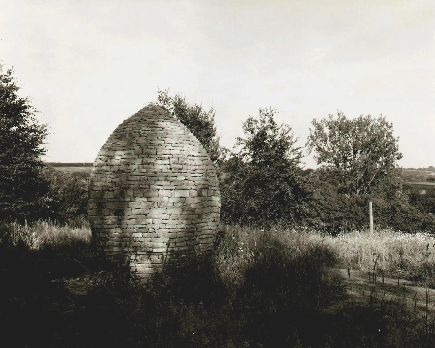 Tom Egg Scans003.jpg