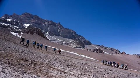 15965982_1550130518333784_3697781985447466107_n.jpg