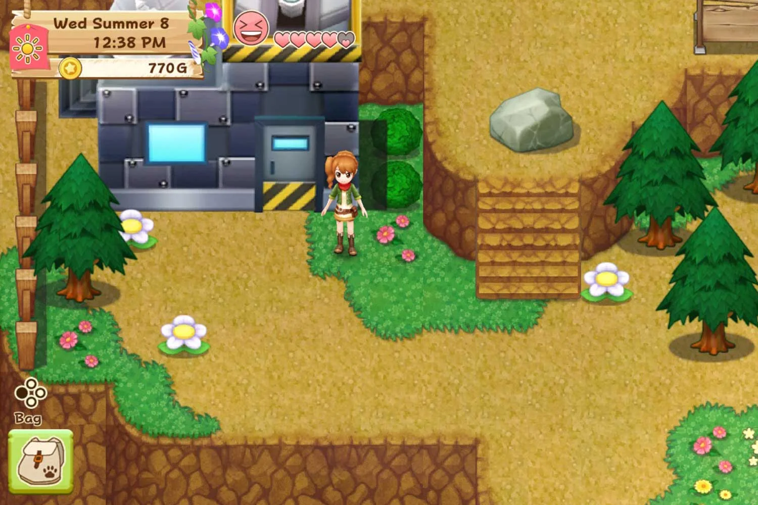 Harvest moon: skytree village. Harvest moon игра. Harvest moon нинтендо. Harvest moon: light of hope special edition.