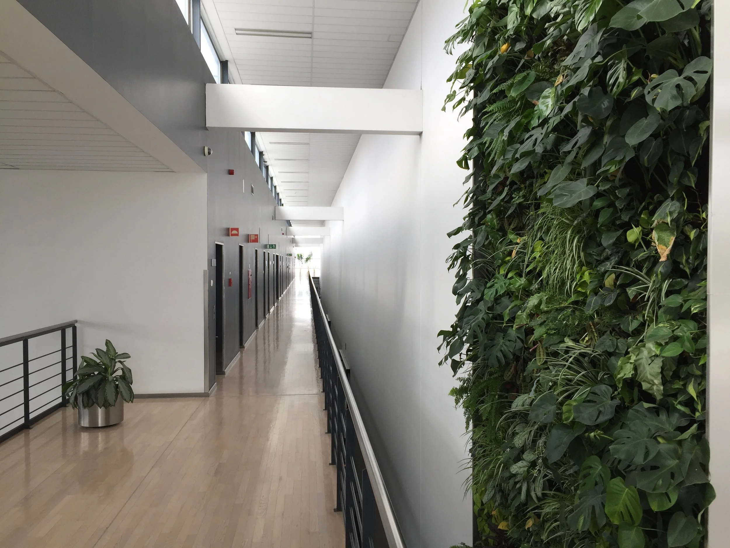 A hatalmas növányfal árulkodik a szándékról, hogy a gyár számára fontos volt a mindennapi jó közérzet biztosítása.&nbsp;