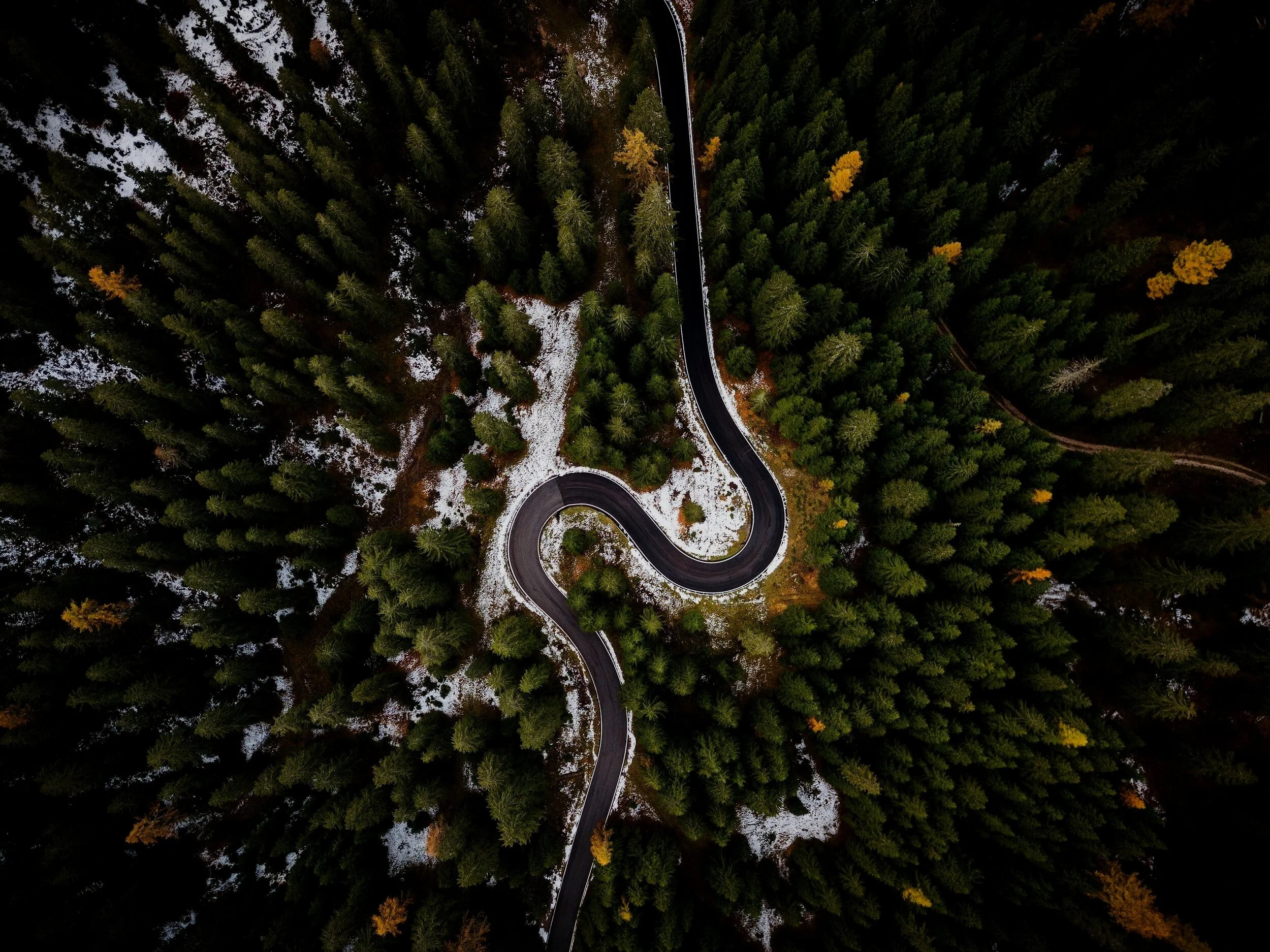 bird-s-eye-view-of-roadway-surrounded-by-trees-1624600.jpg