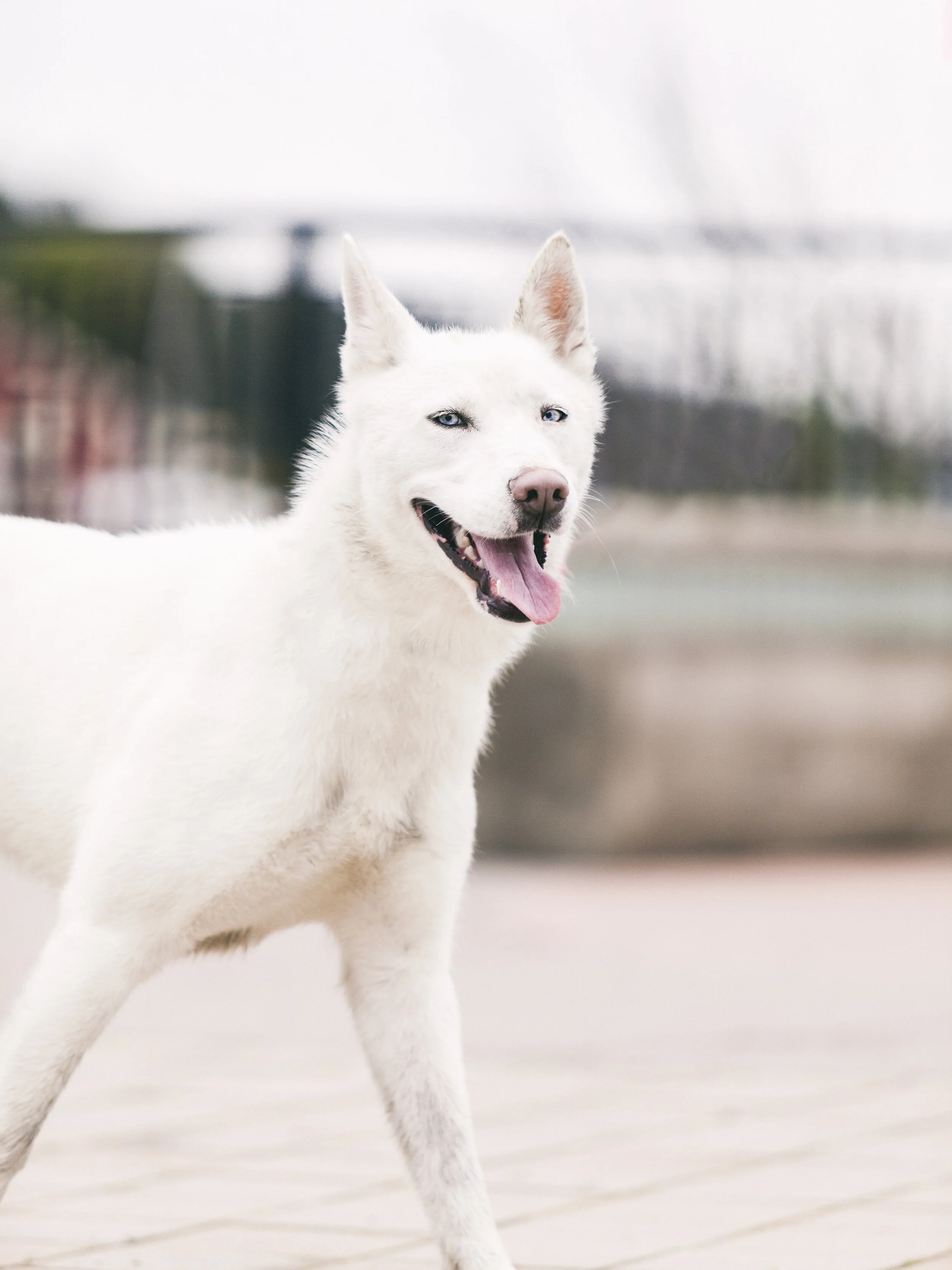 -March 02, 2019_536-Edit.JPG