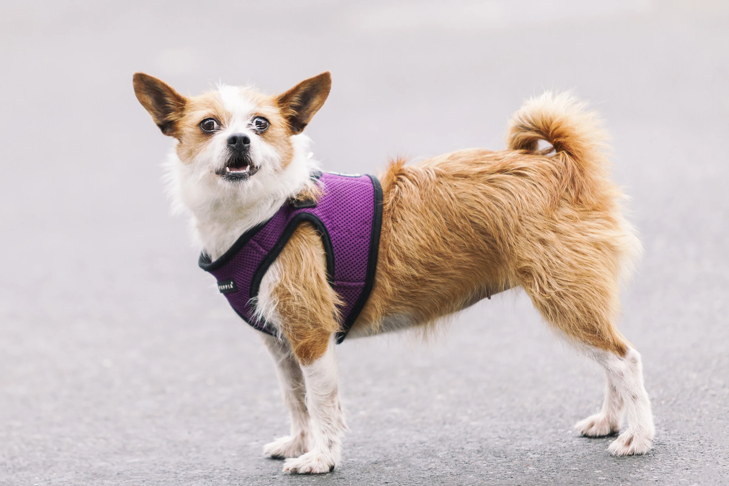 -March 02, 2019_573-Edit.JPG