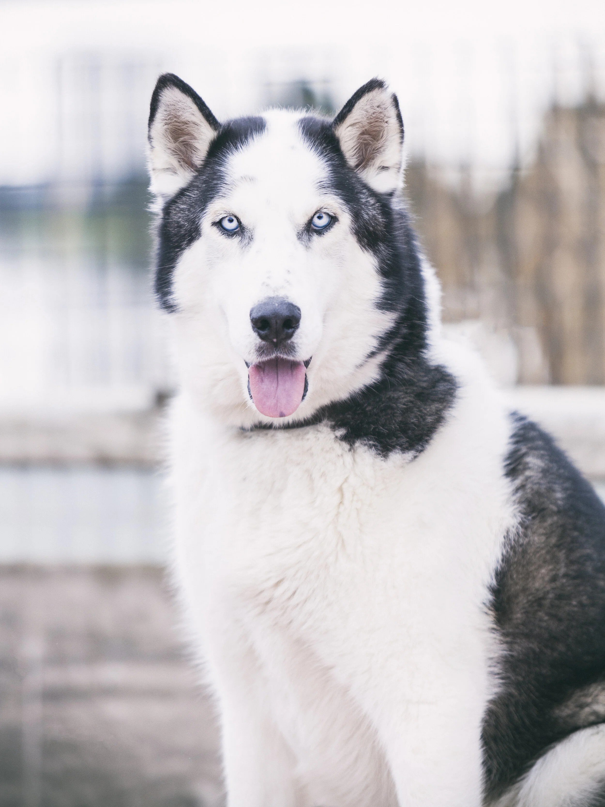 -March 02, 2019_833-Edit.JPG