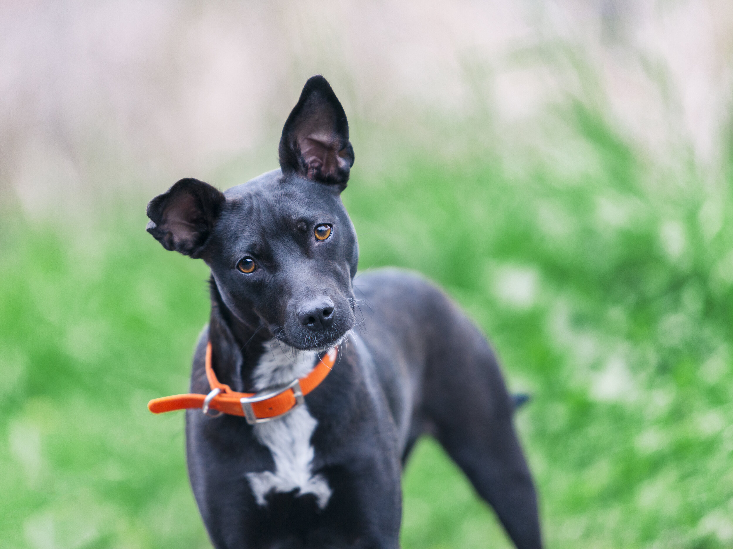 -March 02, 2019_239-Edit.JPG