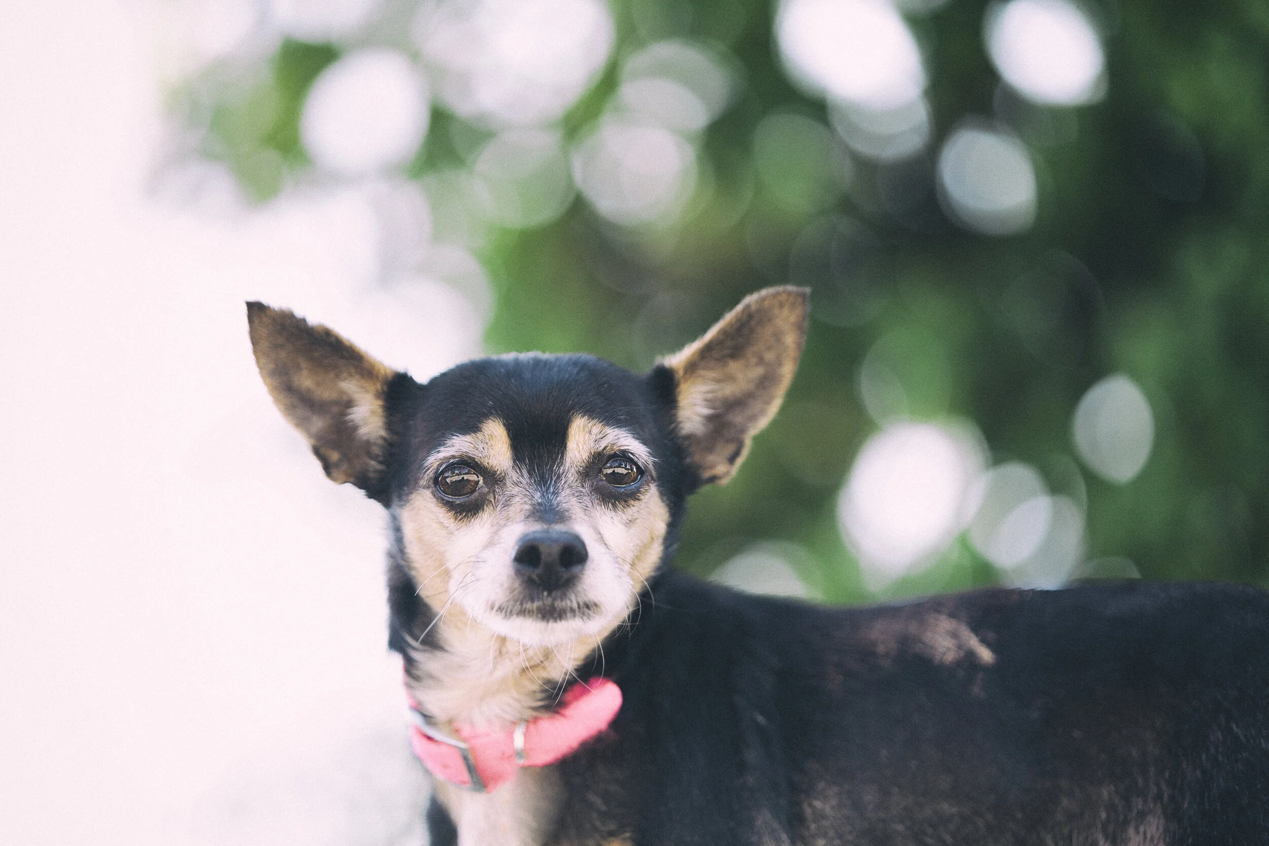 -March 23, 2019_432-Edit.JPG