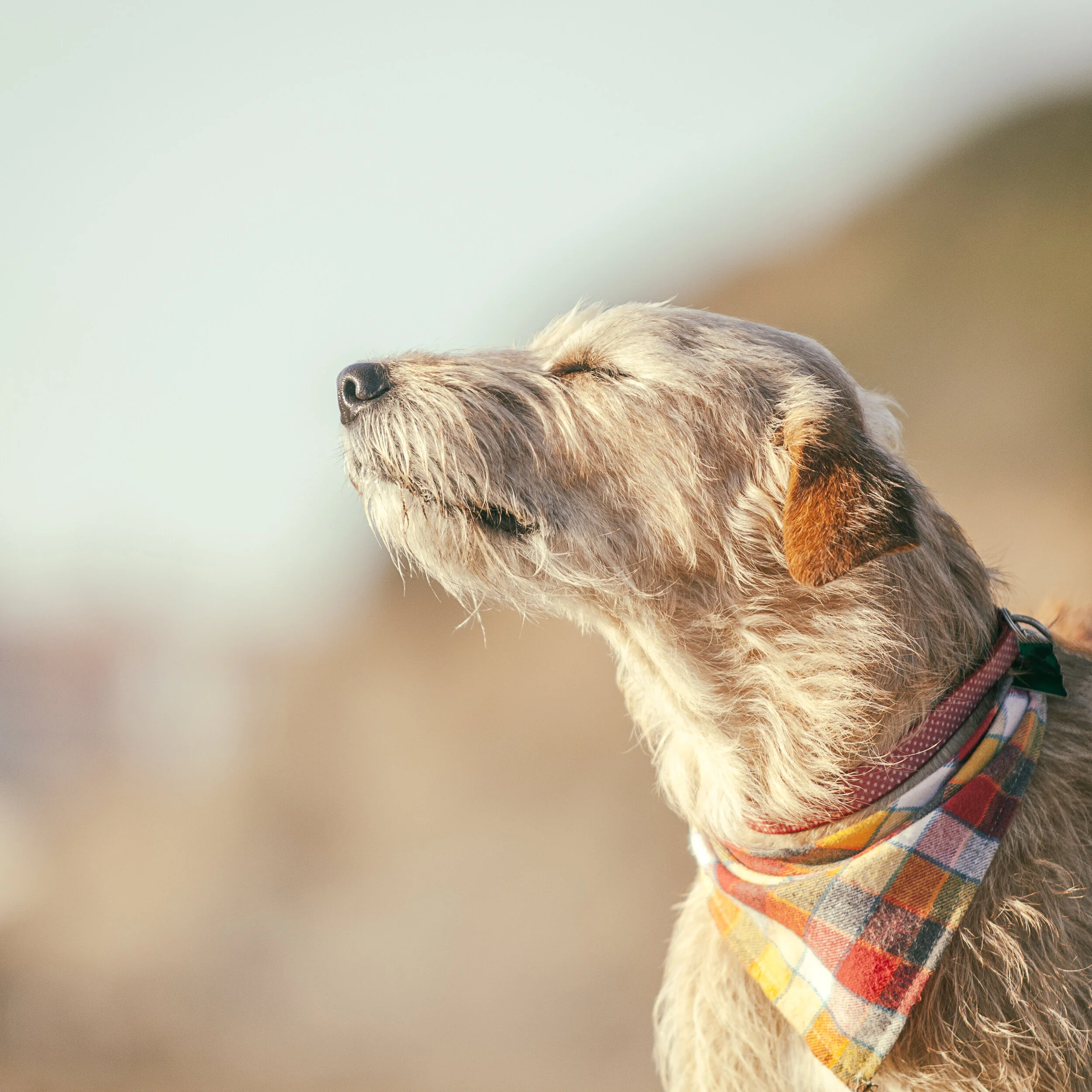 -April 10, 2019_510-Edit.JPG