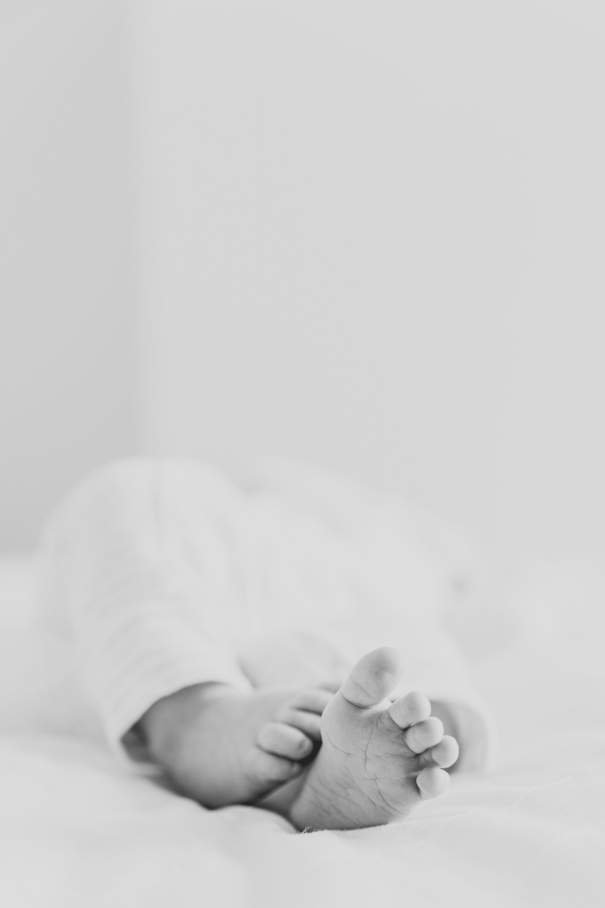 Baby Penelope | Family Photography