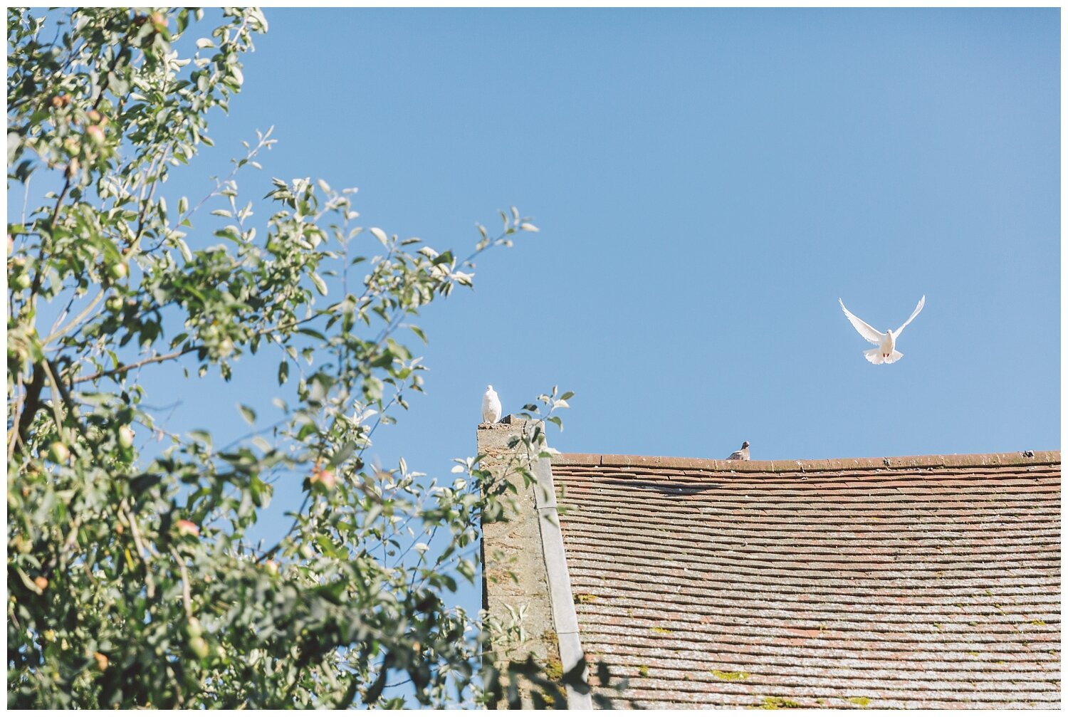 Charlotte.Eve.Photography.JandH.Dovecote.Barn.Banbury.Oxfordshire.wedding.photography_0012.jpg