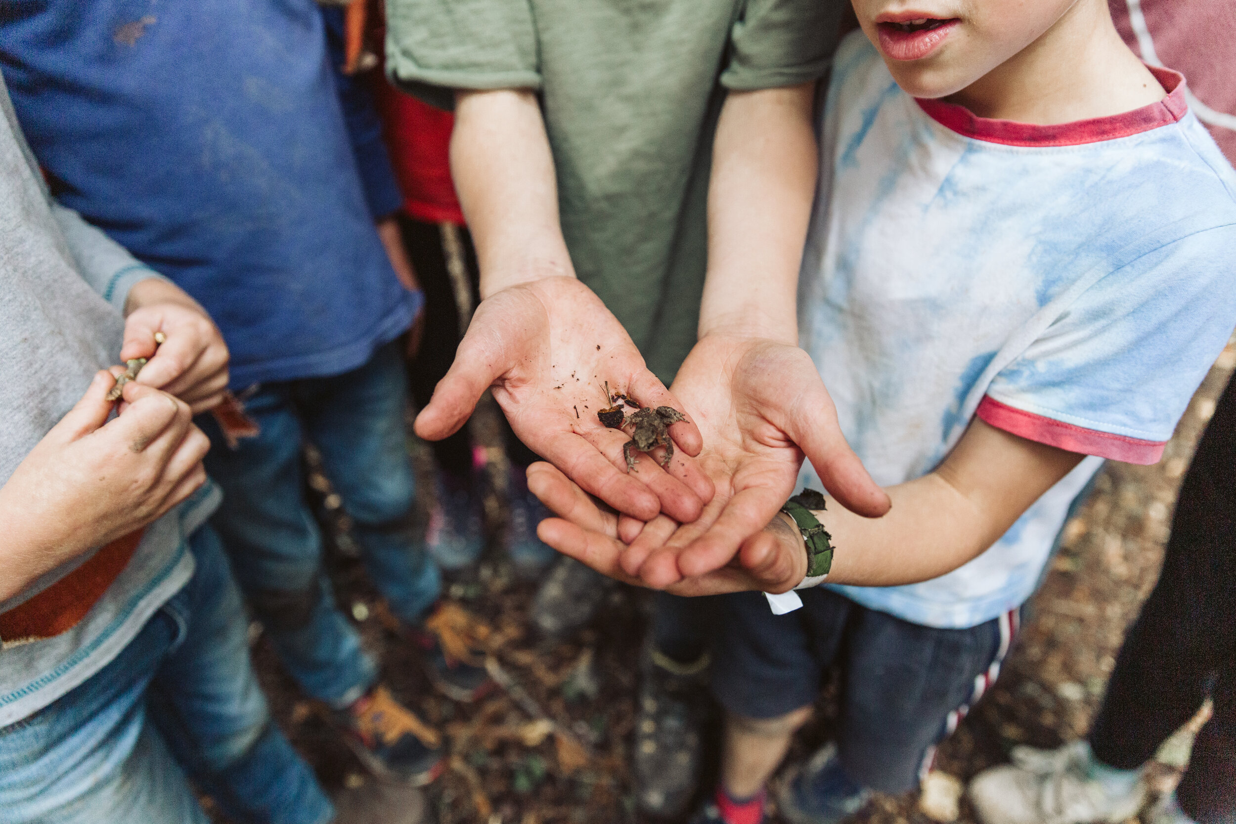 Forest school by Charlotte Eve Photography-1.JPG