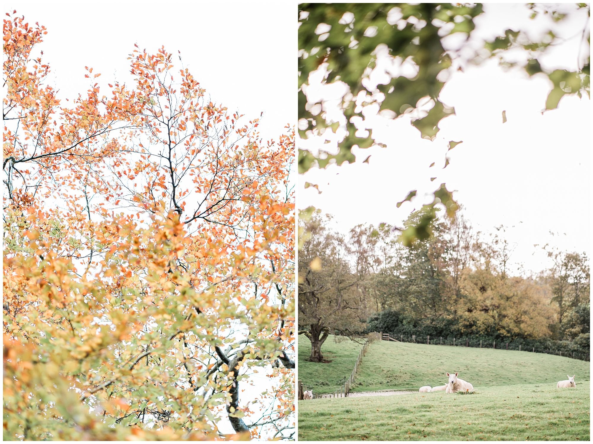 Charlotte.Eve.Photography.Northamptonshire.Oxfordshire.garden.marquee.wedding_0293.jpg
