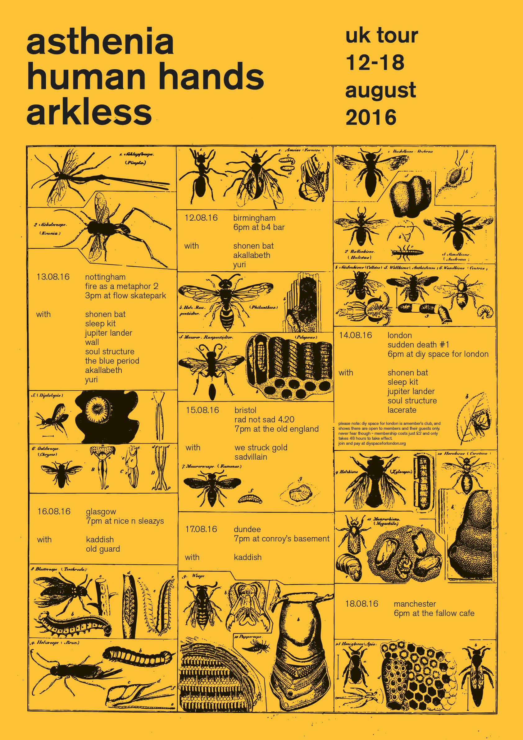 Asthenia / Human Hands / Arkless tour poster
