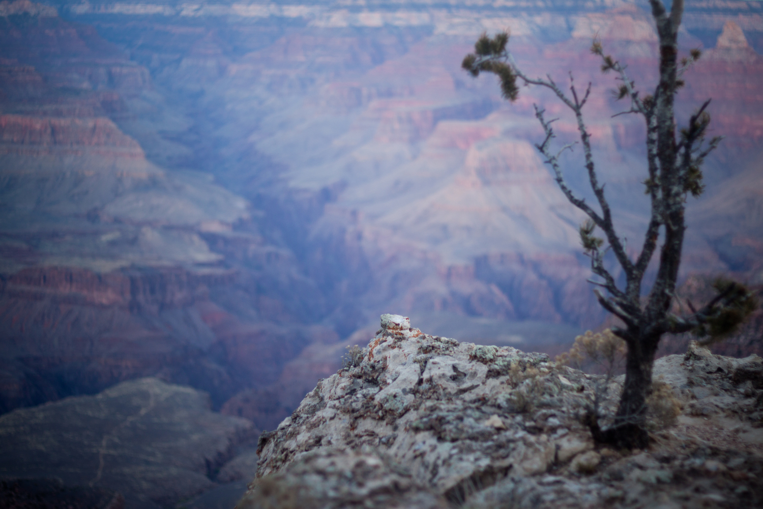  South Rim, Grand Canyon National Park 