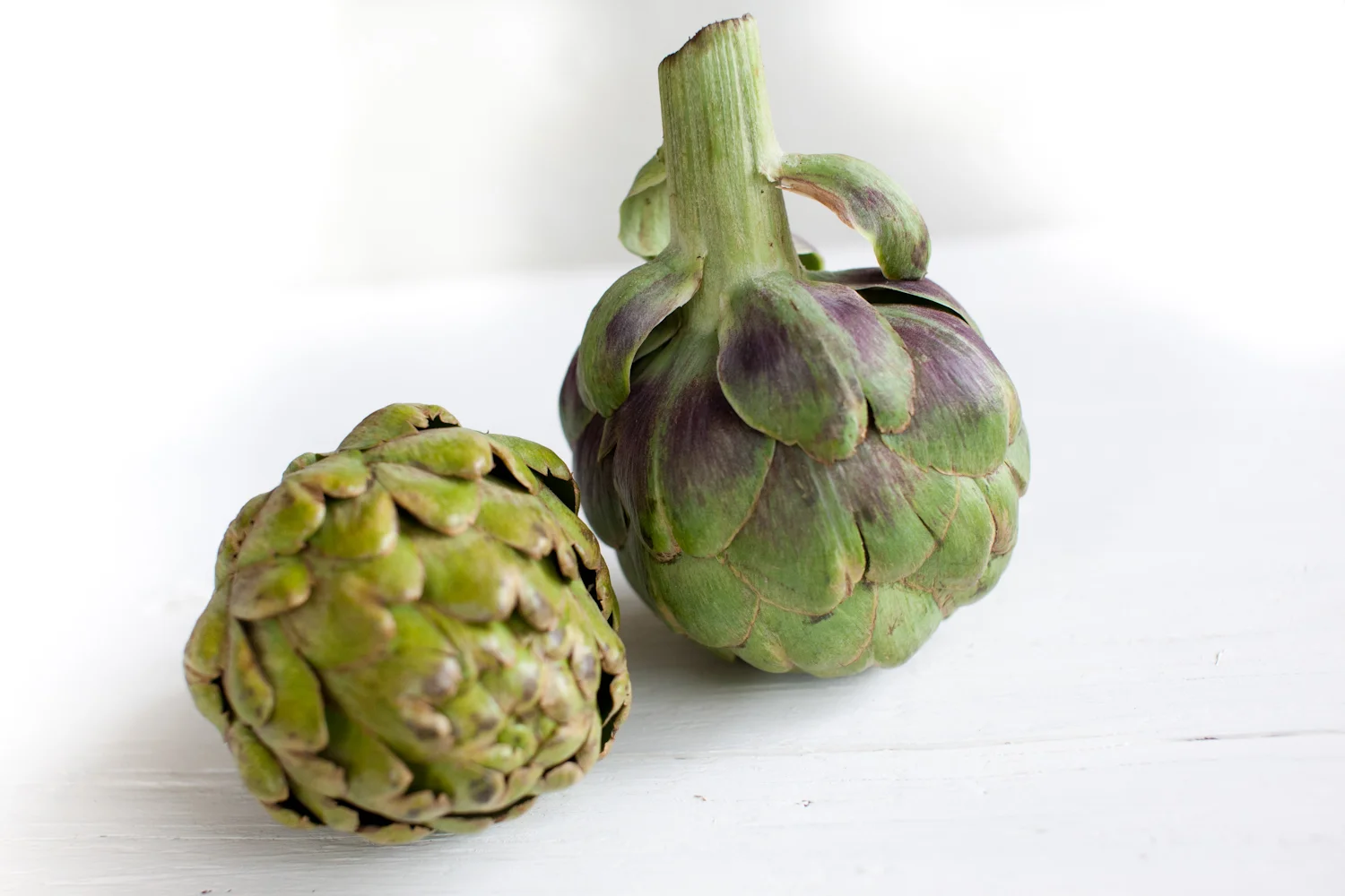 food04.JPG
