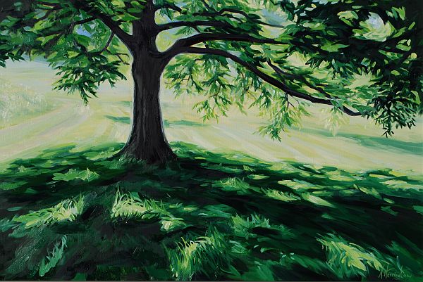 "Old Shade Tree (Pecan), Hot Summer Morning" Oil on canvas 20" x 30"