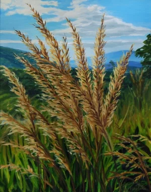 "Indian Grass with Mountains Behind" Oil on linen panel 20" x 16"