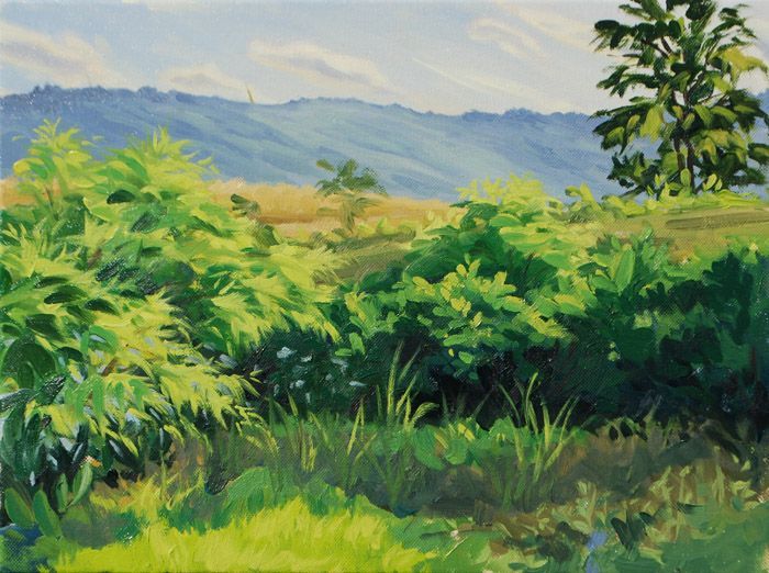 "Pond-Side Plants, Summer Evening" Oil on canvas 12" x 16"