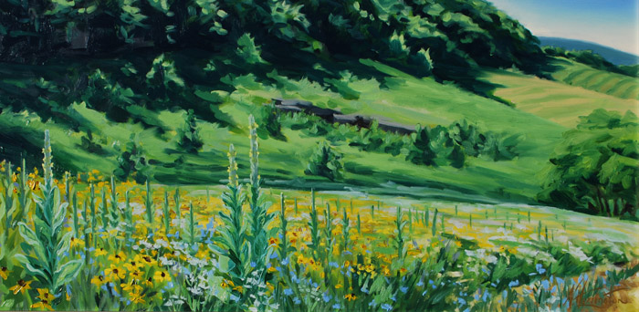 "Wildflower Meadow at Sunnyside with Mullen, Soapwart and Coreopsis" Oil on panel 12" x 24"