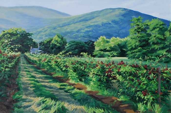 "Rows of Ripening Blackberries" Oil on canvas 20" x 30"