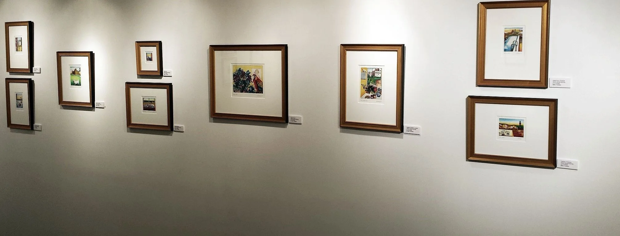 Installation view of hand colored images.
